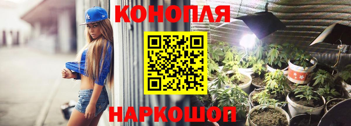 Конопля Bruce Banner  Каннабис White Widow  Карпинск  Вход с VPN  Шишки марихуана семена 